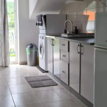 Apartmán Silva Slatine